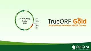 TrueORF GOLD the only expressionvalidated cDNA clones [upl. by Jeana274]