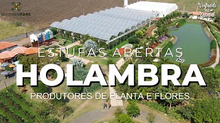 Estufas Abertas de Holambra  Produtores de Plantas e Flores [upl. by Helm325]