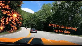 Shelby GT350 Mountain Run  38 minutes of pure audio [upl. by Kincaid]