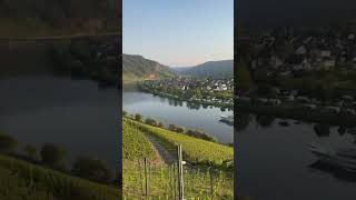 Cruise ship at Mosel River youtubeshorts shorts cruise cruiseship travel tripnipaps reels fy [upl. by Anileme975]