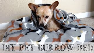 DIY 10 minute Pet Snuggle Bed  DIYwithShaina [upl. by Pete]