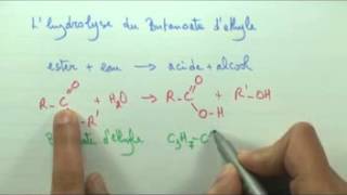 Vers le bac Loi daction de masse  Hydrolyse [upl. by Hgielhsa33]