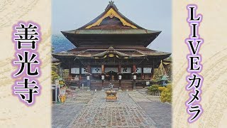 善光寺LIVEカメラ（Zenkoji Live Cam INC長野ケーブルテレビ ※11日金12時～19時ごろ施設工事のため松代ICライブカメラに切り替えます※ [upl. by Llyrat]