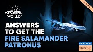 How to get Fire dwelling Salamander Patronus on Hogwarts Legacy  Wizarding World [upl. by Esimaj]