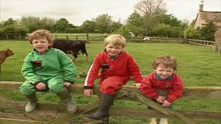 Teletubbies Cows and Calves US Version with UK Audio [upl. by Norvin]