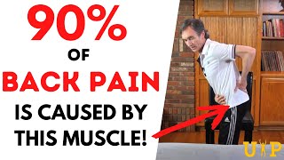 90 of Back Pain is ACTUALLY caused by THIS MUSCLE  Joe Hippensteel Stretching Methods [upl. by Conny770]