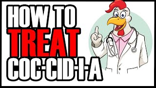 TREATING YOUR CHICKEN FLOCK FOR COCCIDIOSIS WITH CORID  Symptoms and Treatment [upl. by Ettari]