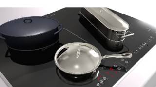 De Dietrich Double Continuum Induction Hob [upl. by Chelsie]