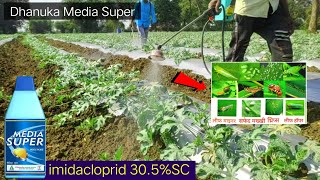 imidacloprid 305 SC insecticide  media super  Confidor super Bayer  Dhanuka  TAAC [upl. by Fairweather]