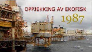 Oppjekking av Ekofisk  1987 English speechtext [upl. by Rhyne]