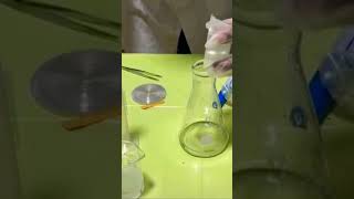 Reaction of Magnesium with Hydrochloric acid [upl. by March]