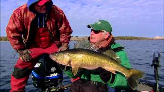 Swimbait For Big Walleyes [upl. by Colwell271]