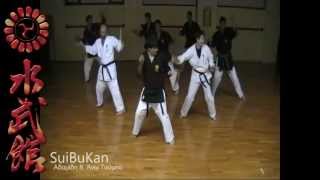 SuiBuKan Greece Matayoshi Kobudo [upl. by Stirling]