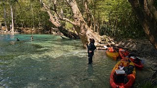 Cypress Spring amp Holmes Creek in Florida [upl. by Doug]