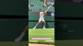 Novak Djokovic vs Jannik Sinner Practice Wimbledon 2023 [upl. by Nagol167]