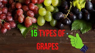 THE 15 BEST TYPES OF GRAPES [upl. by Box]