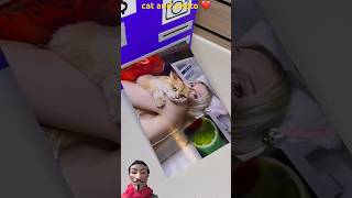 cat and photo ❤️cat cats funny shorts [upl. by Georglana]