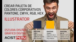 Cómo crear paleta de colores corporativos y obtener el color pantone cmyk rgb en illustrator 2021 [upl. by Irak139]