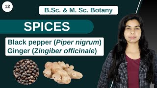 Economic Botany  SPICES  B Sc amp M Sc [upl. by Masson892]