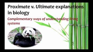 Proximate Versus Ultimate Explanations in Biology [upl. by Alcot284]