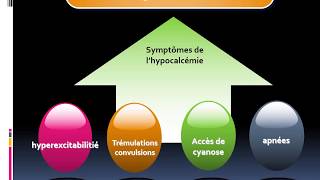 formation accélérée pour débutant en PEDIATRIE  cours 3 HYPOCALCEMIE chez le nouveau né [upl. by Einned507]