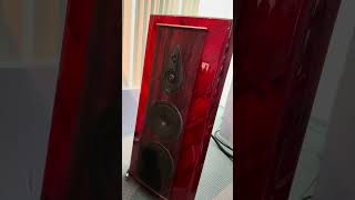 Sonus Faber amp McIntosh audiophile hifi loudspeaker audio hifiaudio highend loudspeakers [upl. by Danica]