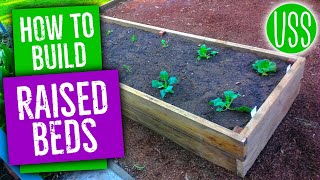 How To Build Raised Garden Beds [upl. by Acsicnarf794]