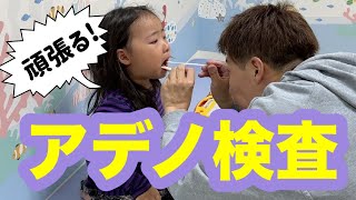 【この時期に💦】たねちゃんアデノに感染しました😭 [upl. by Alton]