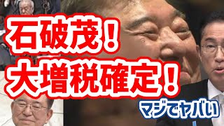 石破茂新総裁！大増税時代確定！マジでヤバい…キシキン解説 [upl. by Aleirbag600]