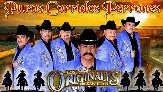 Los Originales De San Juan  10 Grandes Exitos Canciones  Puros Corridos Album Completo 2024 [upl. by Rosner]