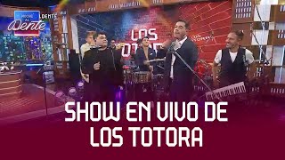 ¡LOS TOTORA EN VIVO [upl. by Emiaj]