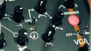 Analogue Solutions TREADSTONE synthesizer  Audio Demo 1 SYNTHBLOCK [upl. by Drawdesemaj336]