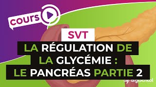 Cours  Terminale S1  SVT  Régulation de la Glycémie  M Gnass [upl. by Alla118]