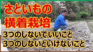 【さといも植え付け】里芋の横着栽培 ３つのしなくていいこと ３つのしないといけないこと [upl. by Alanah]