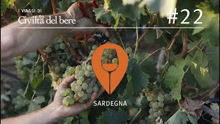 Sardegna Vermentino vitigno corsaro [upl. by Dremann819]