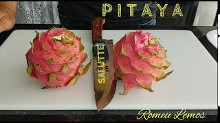 PITAYA  BENEFÍCIOS E COMO COMER [upl. by Meyer]