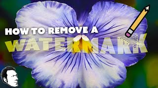 How to Remove a Watermark LIKE A JERK [upl. by Rosana]