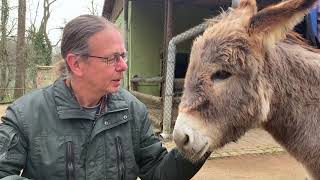 Ein kurzer Osterspaziergang durch den Zoo in Aschersleben [upl. by Ycnaf]