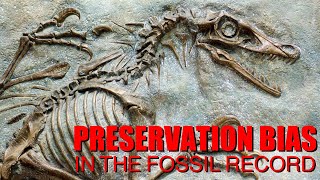 Preservation Bias in the Fossil Record [upl. by Awahsoj]