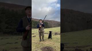 Driven Shooting Scotland Labrador Retriever Gundog Pegdog Shotgun [upl. by Belmonte]