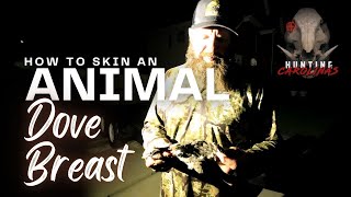 How to Skin an Animal Episode VI Breasting a Dove [upl. by Eceinej520]