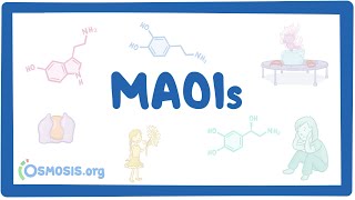 Monoamine oxidase inhibitors MAOIs pharmacology [upl. by Brader767]