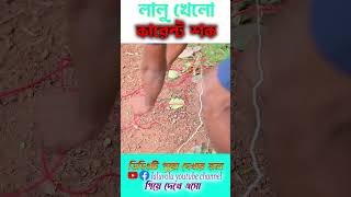 লালু খেলো কারেন্ট শক  electric shorts  viralshorts2024 shortvideos [upl. by Yekcin]