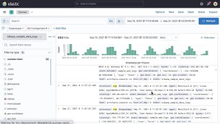 Filtering data in Kibana [upl. by Dail415]