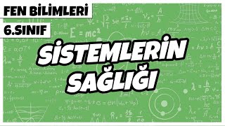 6 Sınıf Fen Bilimleri  Sistemlerin Sağlığı  2022 [upl. by Ayamat]