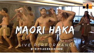 😮🇳🇿BEST MAORI HAKA DANCE [upl. by Eimam]