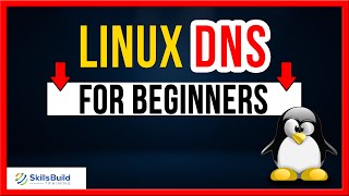 Linux DNS Server Configuration for Beginners [upl. by Nerrual]