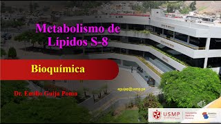 BIOQUÍMICA S8 LÍPIDOS 2° [upl. by Burchett142]