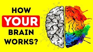 What Is Your Brain Actually Good At [upl. by Ibloc]