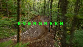 EVERGREEN [upl. by Anurb]